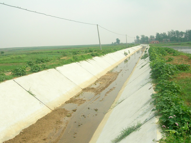 湖北水建工程案例—2006年雙溝土地整理